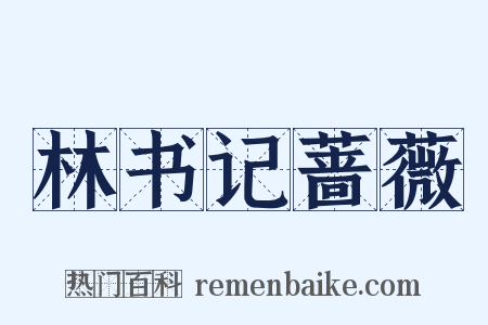 林书记蔷薇是什么意思的图片